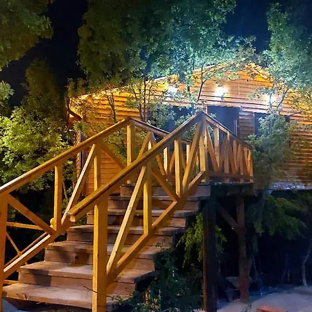 Rezort Kurora E Gjelber Peshkopi