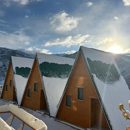 Rezort Kurora E Gjelber