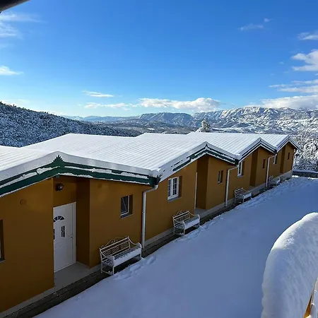 Kurora E Gjelber Peshkopi