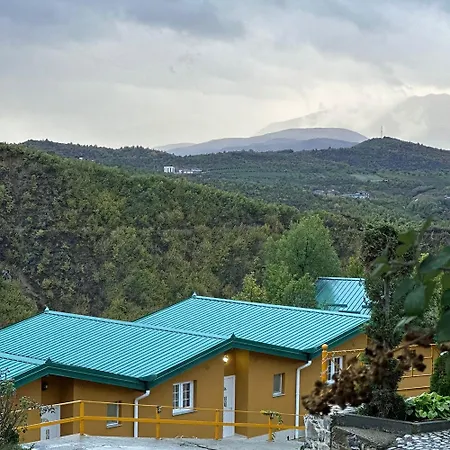 Kurora E Gjelber * Peshkopi