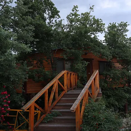 Kurora E Gjelber 度假村 *