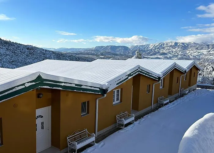 Kurora E Gjelber Peshkopia