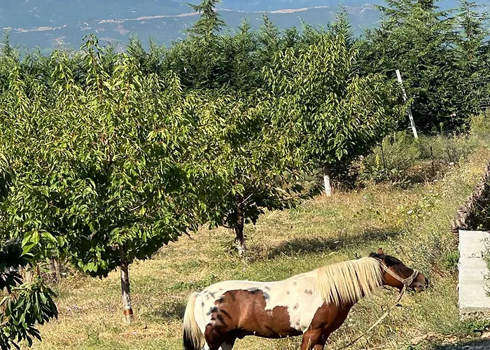 Kurora E Gjelber Üdülőközpont *